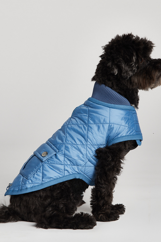 Romeo Quilted Dog Coat